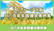 ＪＡグループ大阪 自己改革実践優良事例集